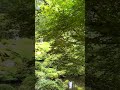#京都大原三千院