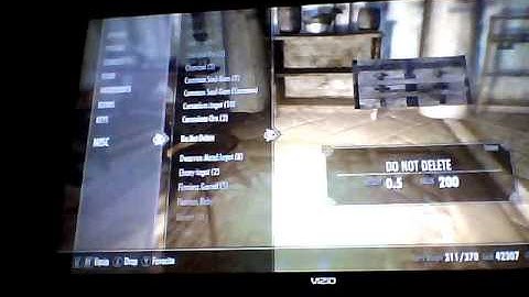 Skyrim: Do Not Delete chest