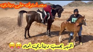 زعل سعد علينا😂😩||سعد استولى على ديناري😍🐎