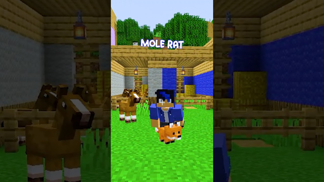 What are you doing with my EGG?