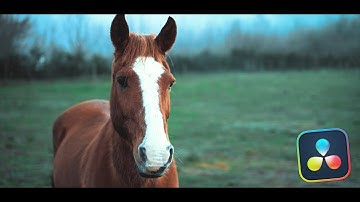 Cinematic Black Bars effect in Davinci Resolve 20 Free