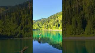 Озеро в горах #Абхазия #Рица #Travel #ГорыЗовут #MountainsLovers #Trip #МестаДляПосещения