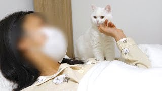 寝込んでいたら猫達がお見舞いにきてくれました！