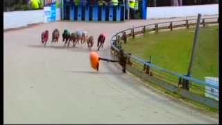 NOWRA-02032015-RACE-4