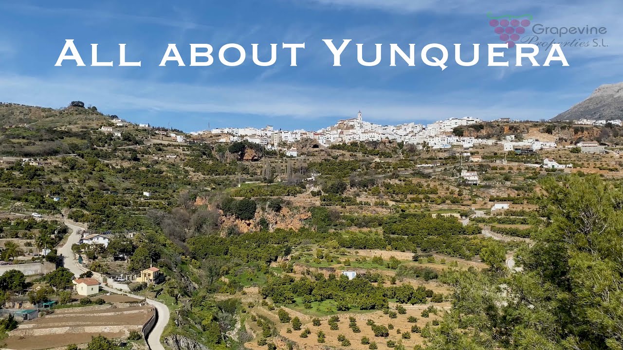 All about Yunquera