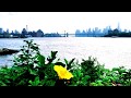 Substantial - Beyond The Stage (feat. Uyama Hiroto &amp; Stephanie Gayle)
