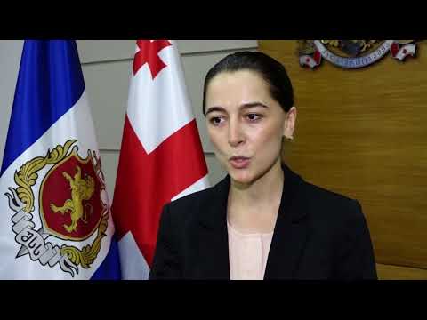 შეხვედრა საერთაშორისო ორგანიზაციის წარმომადგენლებთან