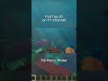 Water & Ocean Sounds ASMR