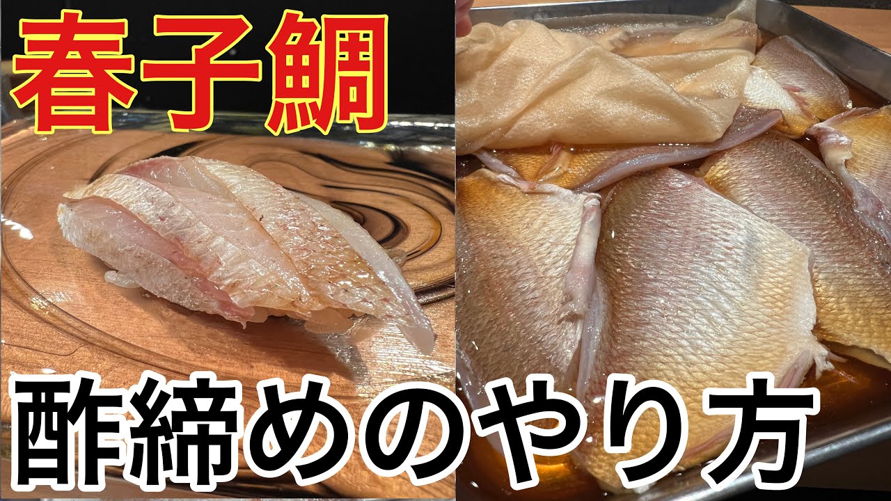 春子鯛(かすご鯛)の酢締めの仕込み方法#釣り#鯛#寿司