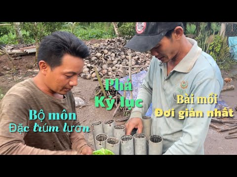 Video Phá kỷ lục bộ môn đặt trúm Lươn sau cơm mưa lớn về nấu... - youtube