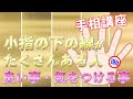 【手相講座】財運線（小指の下の縦の線）がたくさんある人の良いこと・気をつけること