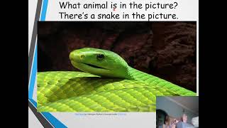 18 Ogos Week 27 y1 Module 3 Pet show (Camouflage Year 1 page 42)