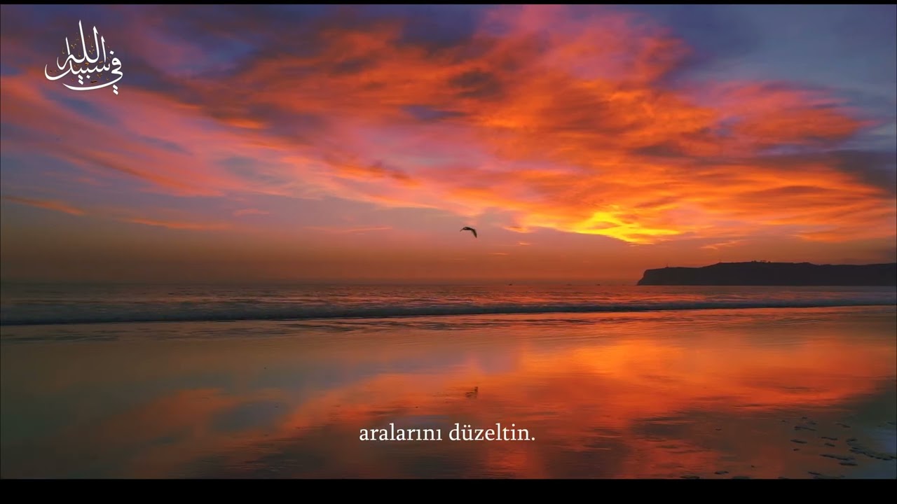 Abdurrahman Mossad - Hucurat Sûresi (Tam Tilavet)