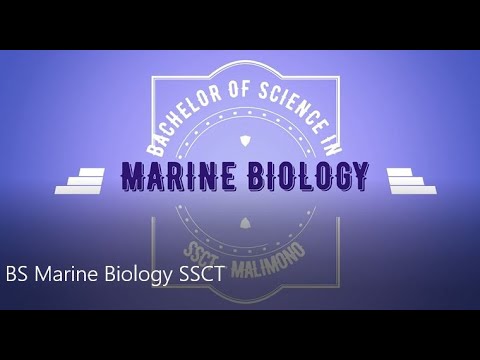 Video: Magkano ang kinikita ng mga marine scientist?