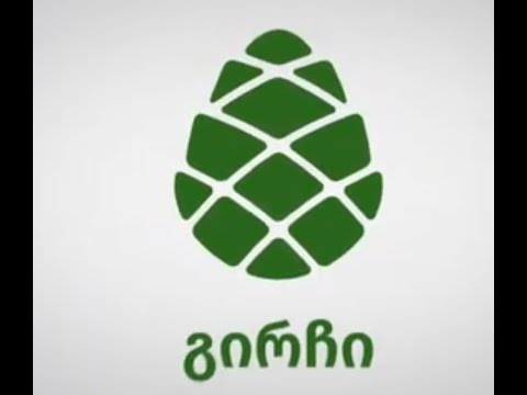 \"გირჩი\"  - NDI-ის პოლიტიკური პოდკასტი