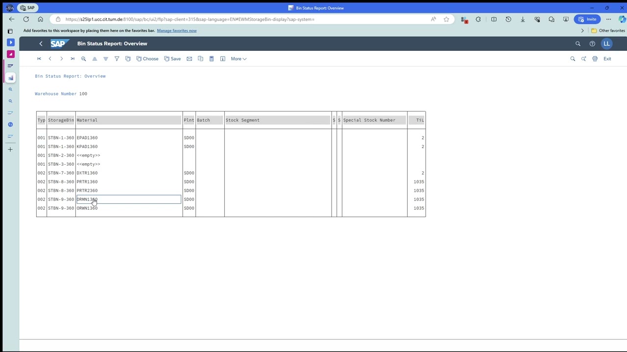 SAP Fiori (WM Process 4) - Step 7 Display bin status report