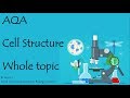 The whole of CELL STRUCTURE. AQA Biology or combined science 9-1 revision for paper 1