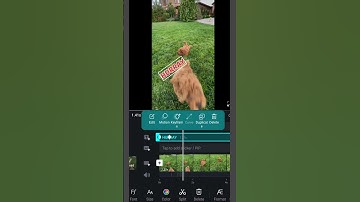 ⚡️Text keyframe effects in vn editor app | Vn app se editing kaise kare⚡️ #shorts #youtubeshorts