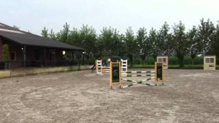 Jumping Hulten Sectolins Eye Catcher With Rider Anouk Van Gerven