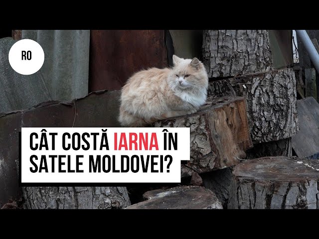 În sobă arde orice. Cât costă iarna în satele Moldovei?