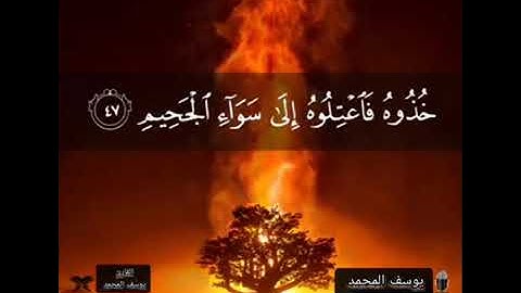 ان شجرة الزقوم طعام الاثيم | بصوت القارئ يوسف المحمد 𝗒𝗎𝗈𝗌𝖾𝖿𝖺𝗅𝗆𝗈𝗁𝖺𝗆𝖽