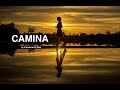 MEDITACIÓN + CAMINAR. HACER CONSCIENTE TU CAMINAR + 30 MINUTOS DE CAMINATA GUIADA + FLUIR EL ANDAR