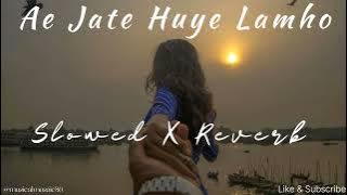 Ae Jate Huye Lamho || Slowed & Reverb || From Border || To Chaloo Lofi Version