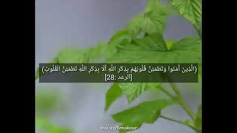 [ ألا بذكر الله تطمئن القلوب ] تلاوة خاشعة جداً ورائعة للقارئ عبدالعزيز العسيري من سورة الرعد