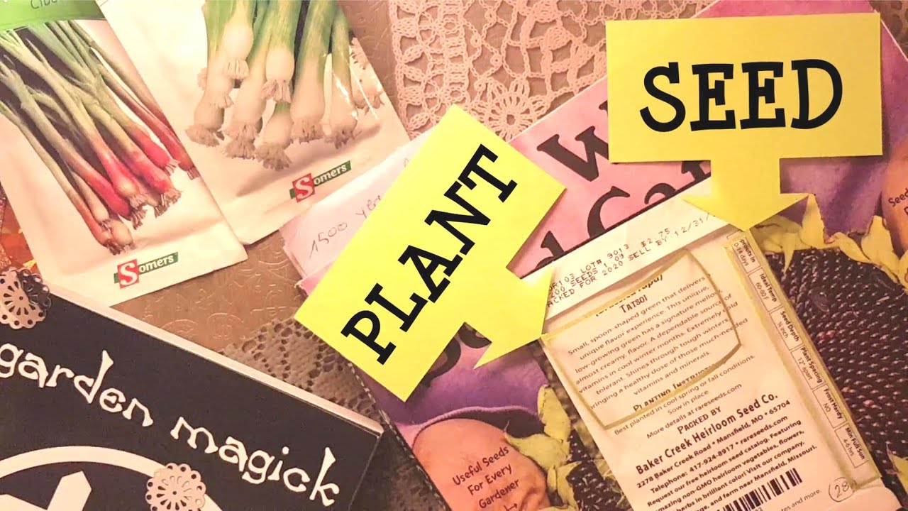 (pt1) the Baker Creek Heirloom Seeds TATSOI DISCREPANCY solved ! (I