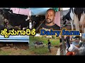 ಹೈನುಗಾರಿಕೆಯಿಂದ ಉತ್ತಮ ಆಧಾಯ/complete guide to dairy farm business in india /dairy farming in kannada