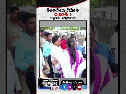 ବିଜେଡିରେ ମିଶିବେ ଚାମେଲି ଓଝା ..ହେଉଛି ବଡ଼ ଚର୍ଚ୍ଚା ... #shorts #trending #odisha