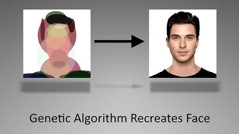 Genetic Algorithm Recreates Face