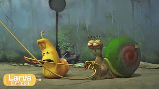 secret snail animation compilation larva tuba official