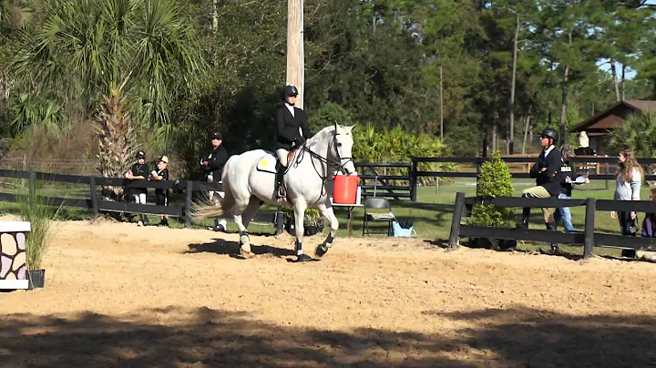 Katie Taylor & Veronica Henry Open Flat Zone V Reg...