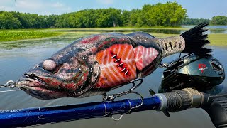 Fishing a Zombie Lure for Pike!