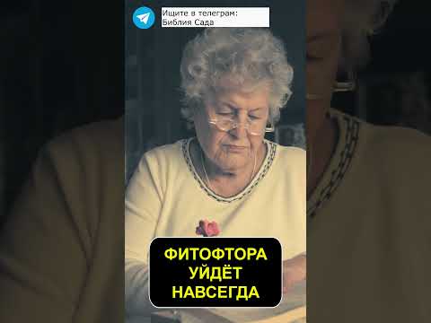 Фитофтора уйдет навсегда.
