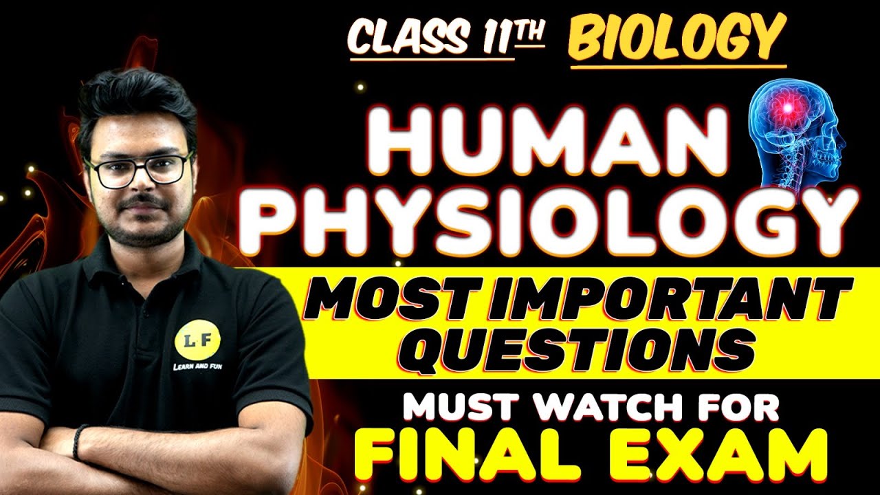 Human Physiology Most Important Questions | Class 11 Biology | Human ...