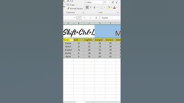 Excel Shortcut to Add Filter Instantly! 🔥 Ctrl + Shift + L
