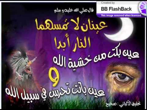 تلاوه مؤثره للشيخ سعد الغامدي لما تيسر من سورة هود 