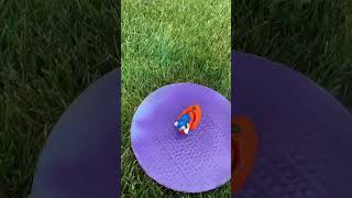 Custom Sonic Mcdonalds Toy