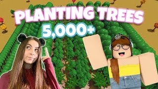 PLANTING 5 THOUSAND TREES IN BLOXBURG