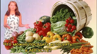 Работы садовода-огородника в Августе. Что можно посадить в Августе в огороде и в саду?