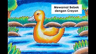 Cara Mewarnai Bebek dangan Crayon/ Color The Duck with Oil Pastel