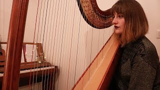 Demi Lovato - Anyone (Harp Cover)