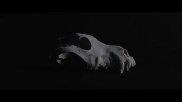 Sarang - Facade [Official Music Video]