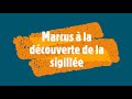 Ref:sdtu2ObLlZI Marcus  au mus�e de la c�ramique de lezoux