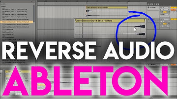 How to reverse Audio in Ableton Live