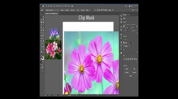 Clipping Mask in Adobe illustrator