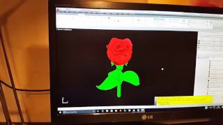 ☆AutoCad | 3D Printed Rose | Flashforge Creator Pro 2016☆