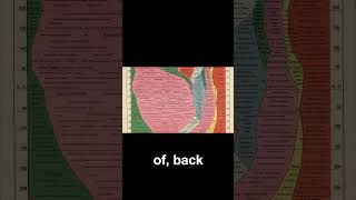 An Introduction to the Histomap Visualizing 4,000 Years of Global Power - #civ7